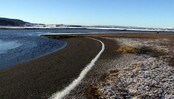 Naturens verden