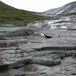 Fra bakekulpene i Nordskardsfjellet ved Nedalshytta i Sylan