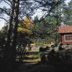 Flørlistølen