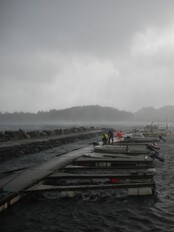 Kraftig byge ved Sørigard Småbåtlag, Fjørtoft (Foto: Eldar Fjørtoft) Kraftig byge ved Sørigard Småbåtlag, Fjørtoft (Foto: Eldar Fjørtoft)