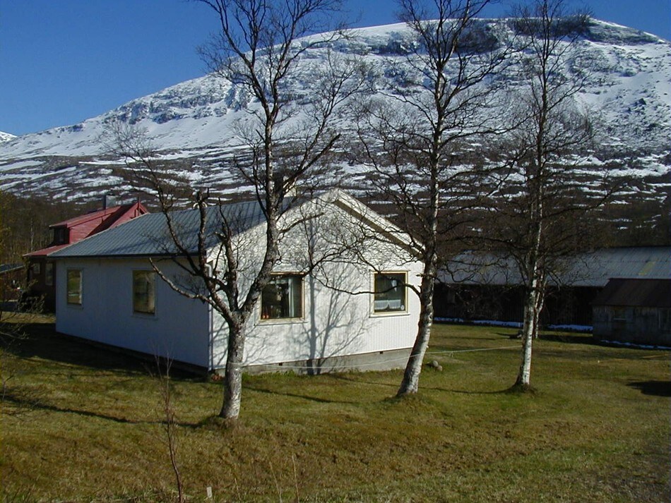 Storengstua