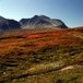 Høstfarger i Rondane