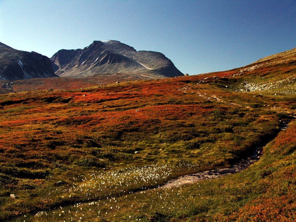 Høstfarger i Rondane
