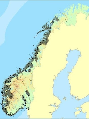 Treslag i norge liste