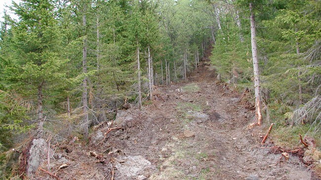 Traktorvei i Løvdal, Gratangen (Foto: Arild Kristiansen) Traktorvei i Løvdal, Gratangen (Foto: Arild Kristiansen)