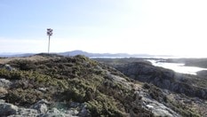 Toppen av Sålefjell. Geocache i nærheten.