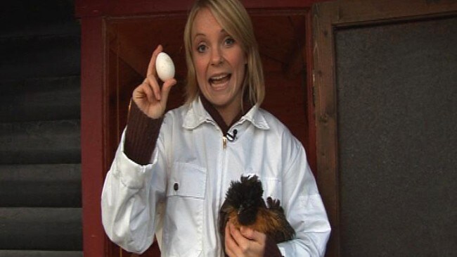 Solveig Hareide (NRK) Solveig Hareide (NRK)