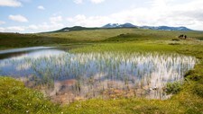 På vei gjennom Sylan (Foto: Julie Maske /Den Norske Turistforening)