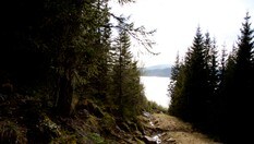 Traktorvei på turen opp fra Meltingen