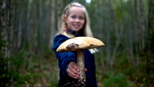 Jente med sopp (rødskrubb) (Foto: Sindre Thoresen Lønnes/Den Norske Turistforening)