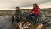 Fjellørret på Hardangervidda - Hver vår oppleves et eventyrlig vårfiske på Hardangervidda. 