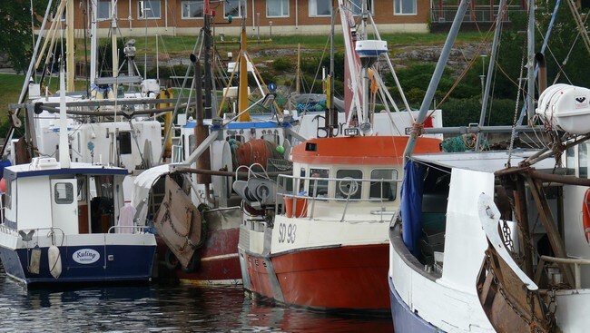 Fiskebåter (Foto: Rainer Prang/NRK)