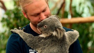 Australias villmark