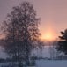 Tidlig vintermorgen langs Nord i Odal