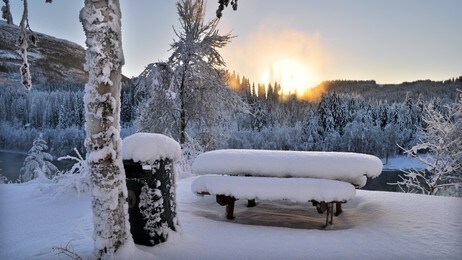 Nå biter kulda skikkelig i fra seg. Det var minus 21 - 22 grader i Korgen (Foto: Tore M. Furuhatt) Nå biter kulda skikkelig i fra seg. Det var minus 21 - 22 grader i Korgen (Foto: Tore M. Furuhatt)
