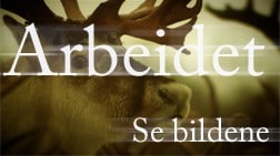 Arbeidet - se bilder