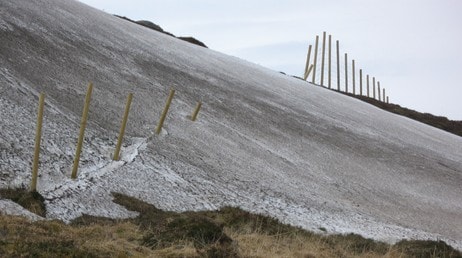 Reingjerde rundt Hammerfest  (Foto: Piera Balto)