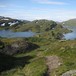 Selhamar går i ett med naturen