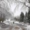 SAMFUNNET STOPPET OPP: En is-storm førte til stengte skoler og strømstans i Iowa (USA), januar 2010. SAMFUNNET STOPPET OPP: En is-storm førte til stengte skoler og strømstans i Iowa (USA), januar 2010.