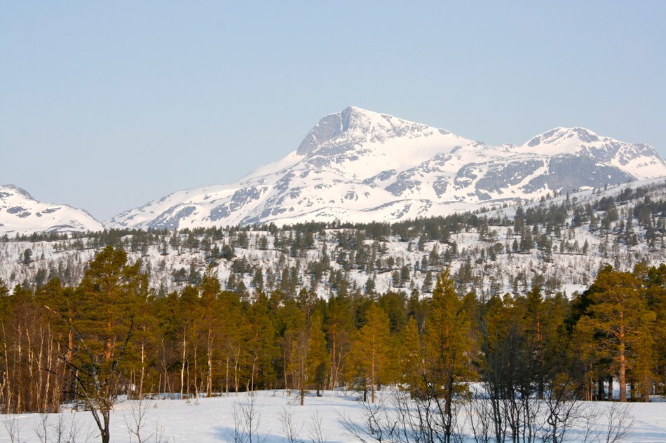 Utsikt til Snota fra Trollheimshytta
