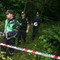I dette skogholtet fant politiet en død person natt til tirsdag.