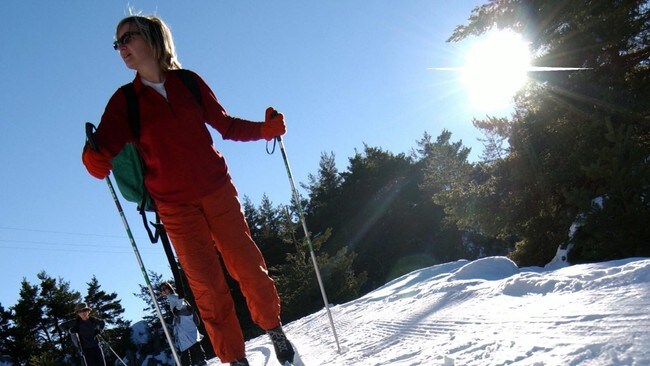 Ski (Foto: www.colourbox.com)