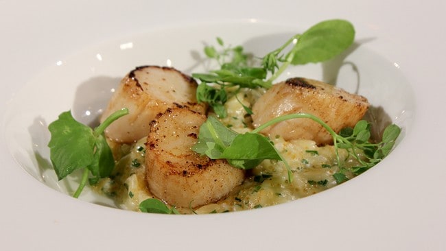 Stekte kamskjell med kremet pasta