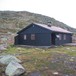 Tjørnbrotbu