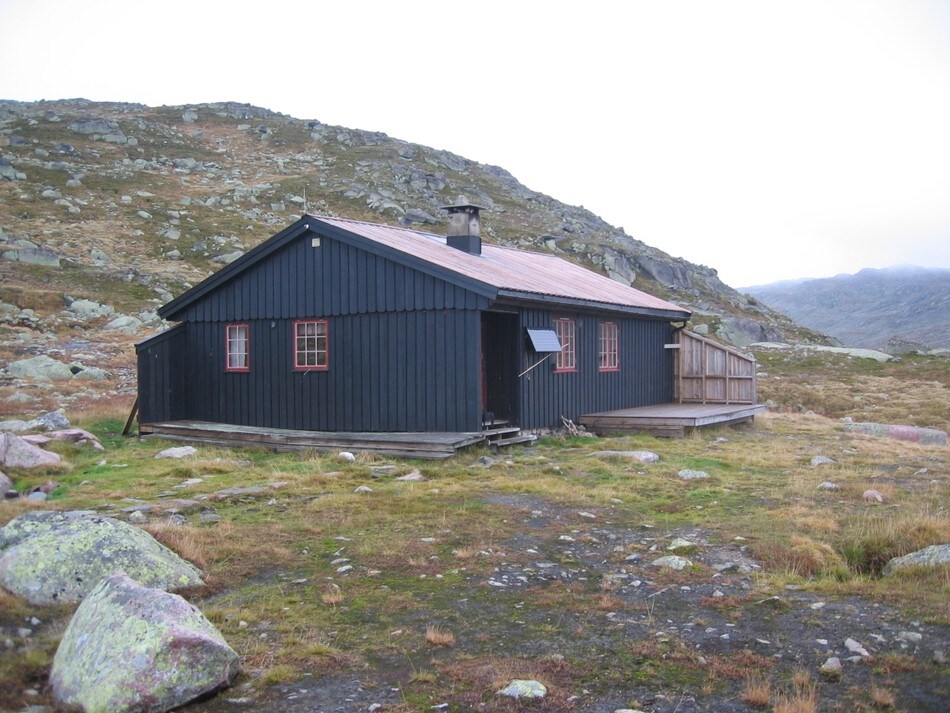 Tjørnbrotbu