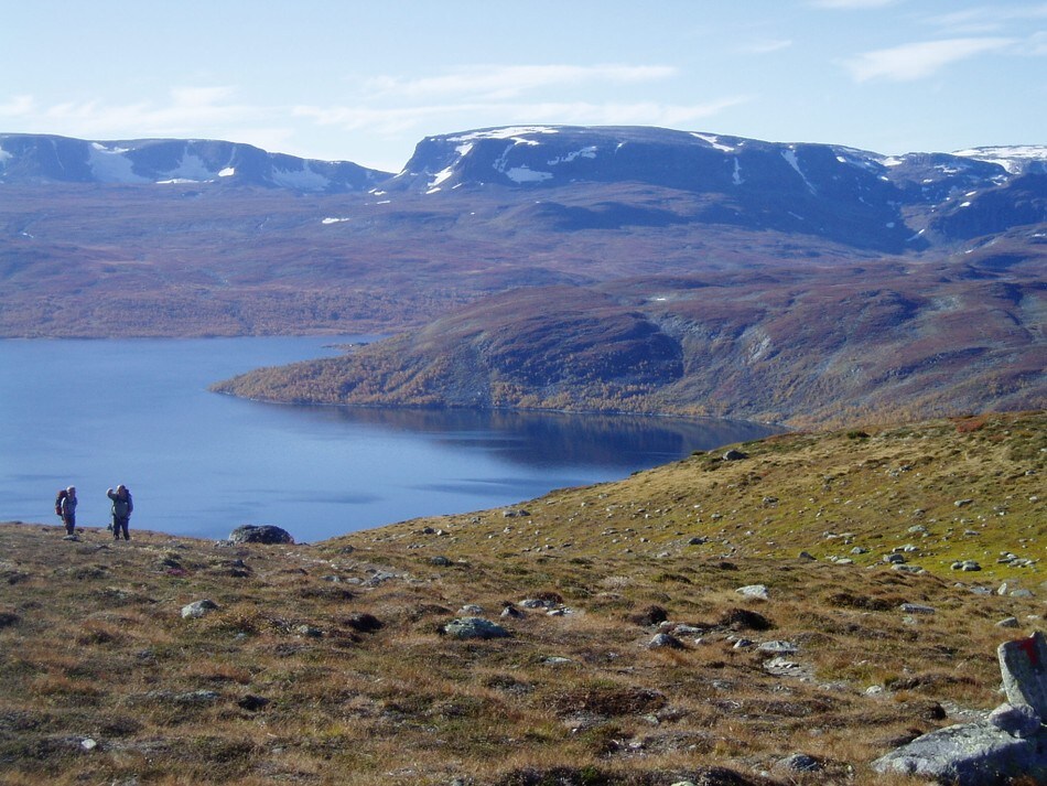 Skarvheimen