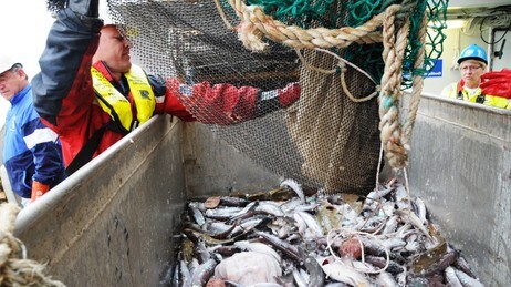 Havforskningsinstituttets sesimikkundersøkelse (Foto: Kjartan Mæstad, Havforskningsinstituttet) Havforskningsinstituttets sesimikkundersøkelse (Foto: Kjartan Mæstad, Havforskningsinstituttet)