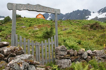 Velleseter