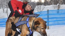 Jean-Luc Forster, veterinær under Finnmarksløpet (Foto: Rune N. Andreassen/NRK)