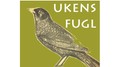 Ukens fugl (Foto: Fra Hallo hallo!) Ukens fugl (Foto: Fra Hallo hallo!)