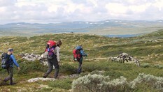Fottur på Hardangervidda