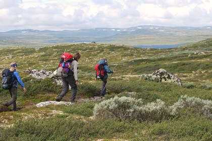 Fellestur med Barnas Turlag på Hardangervidda.