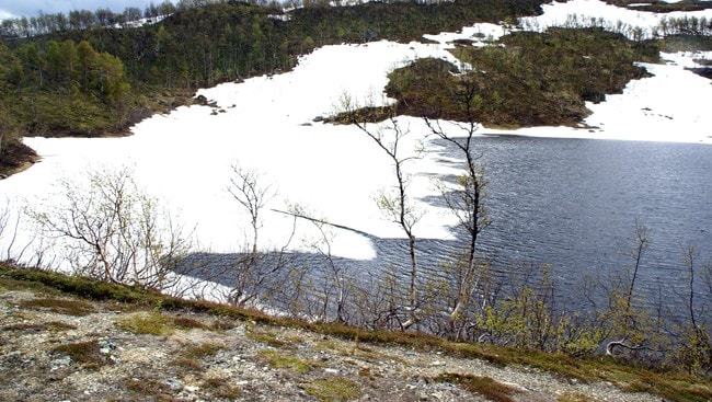 Snø i juni (Foto: Siri Selnæs)