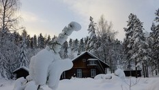 Koboltkoia i vinterskrud