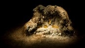 Rotten food landscapes