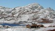 Miniatyrbilde til En rundtur i Barnas Naturverden
