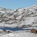 En rundtur i Barnas Naturverden