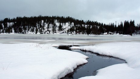 Usikker is på Tørstadbrønnen i Rissa (Foto: Gunn Nyborg) Usikker is på Tørstadbrønnen i Rissa (Foto: Gunn Nyborg)
