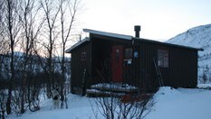 Blåkollkoia, desember 2007