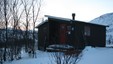 Blåkollkoia, desember 2007