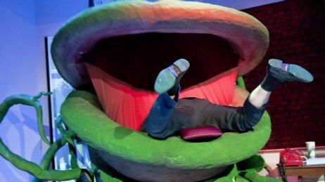 Little shop of horrors (Foto: Rogaland Teater)