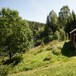 Røyrivannskoia