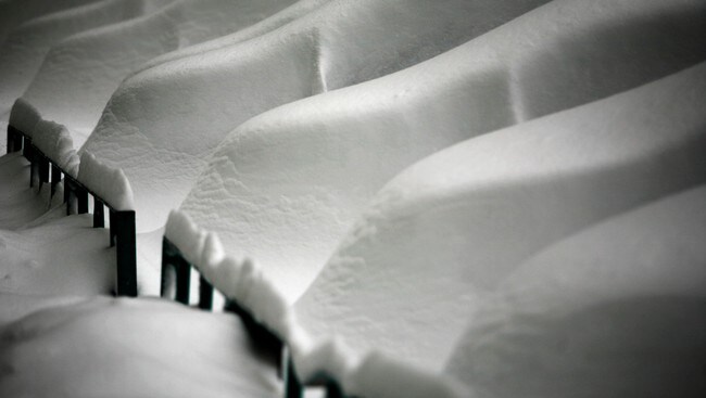 Nedsnødde biler i Romanias hovedstad Bucuresti (Foto: MIHAI BARBU/REUTERS)