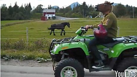 Horse Dive-by (Foto: YouTube)