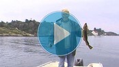 Postkort fra Brekkestø (NRK) Postkort fra Brekkestø (NRK)