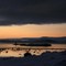Lys i Porsanger i Midt-Finnmark. 